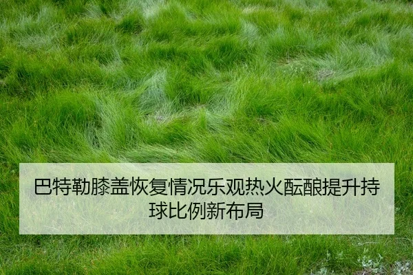 巴特勒膝盖恢复情况乐观热火酝酿提升持球比例新布局